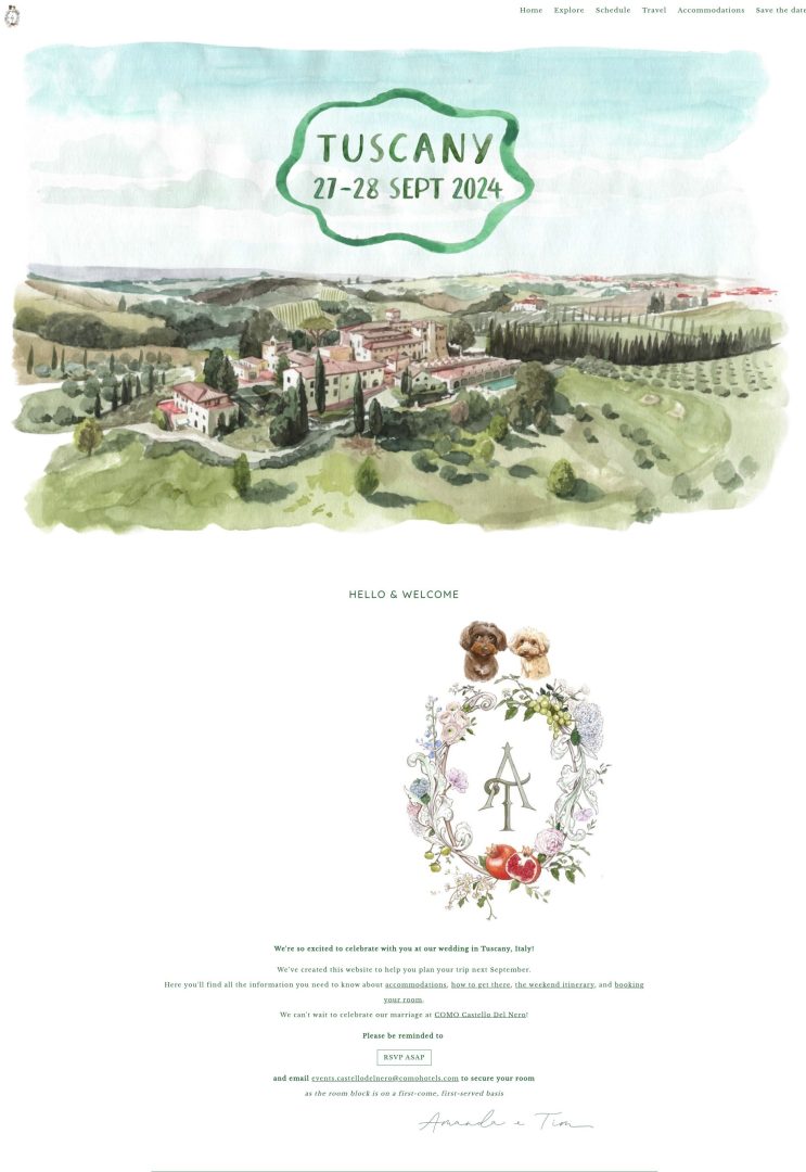 wedding-website-examples-modern-minimal-boho
