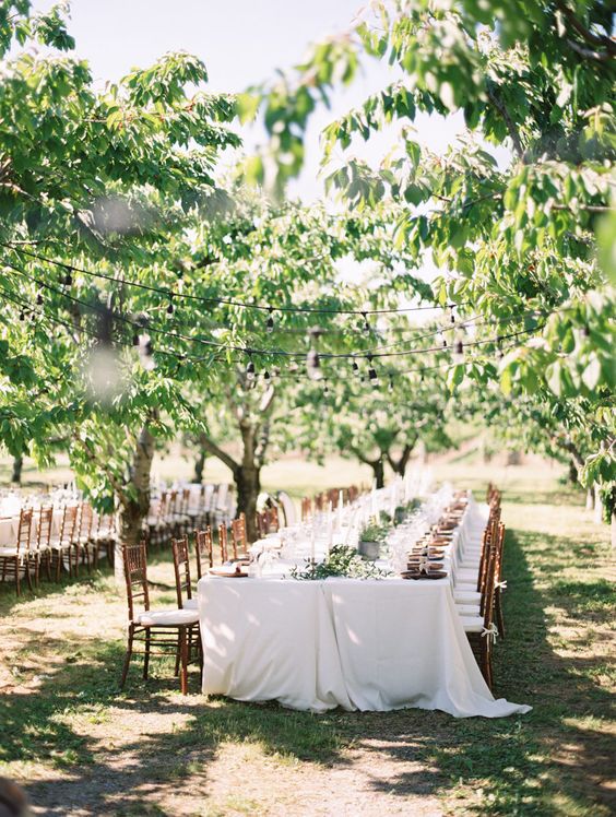 what-to-look-for-in-an-eco-friendly-wedding-venue-including-questions-to-ask
