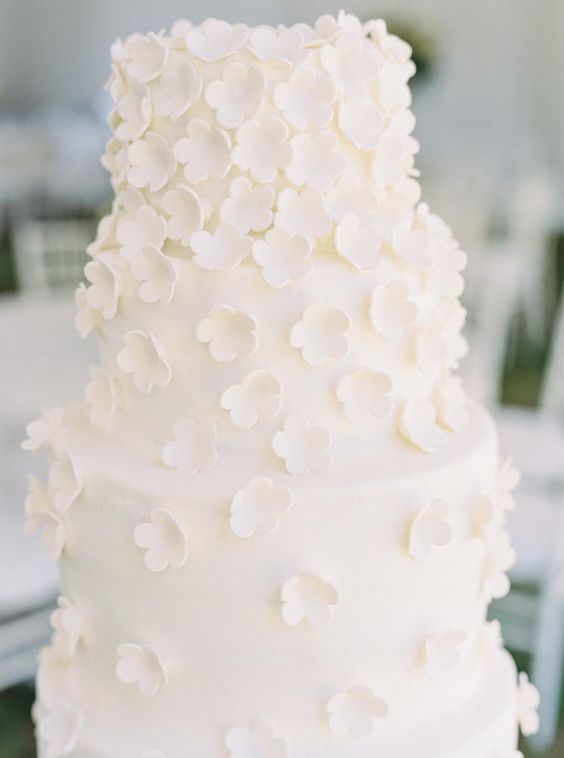 how-to-book-a-cake-baker-for-your-wedding-including-questions-to-ask