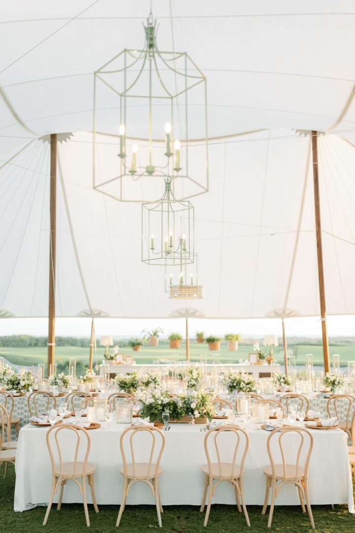 eco-friendly-wedding-planning-how-to-go-paperless-with-wedsites