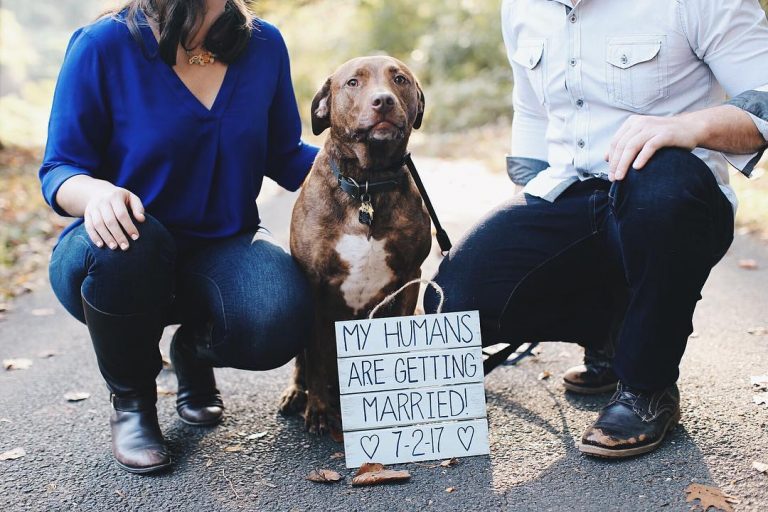 10 Creative Ways to Announce Your Engagement to The World ♥